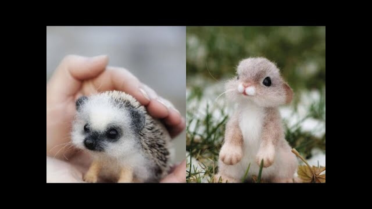 Cutest Animals Ever and Funny Animal Videos COMPILATION You Can't Miss