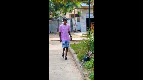 Fake dog prank