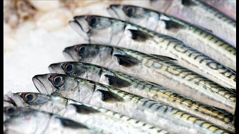 Worst Chemicals to consume: Mercury