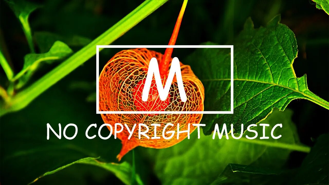 Joakim Karud - Off Course(Mm No Copyright Music)