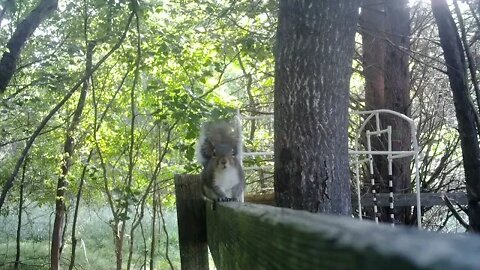 Curious little boy