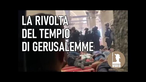 Palestina: la rivolta del Tempio di Gerusalemme