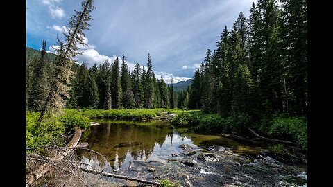 The Supreme Court Just Withdrew Protections from Half of the Country’s Streams and Wetlands