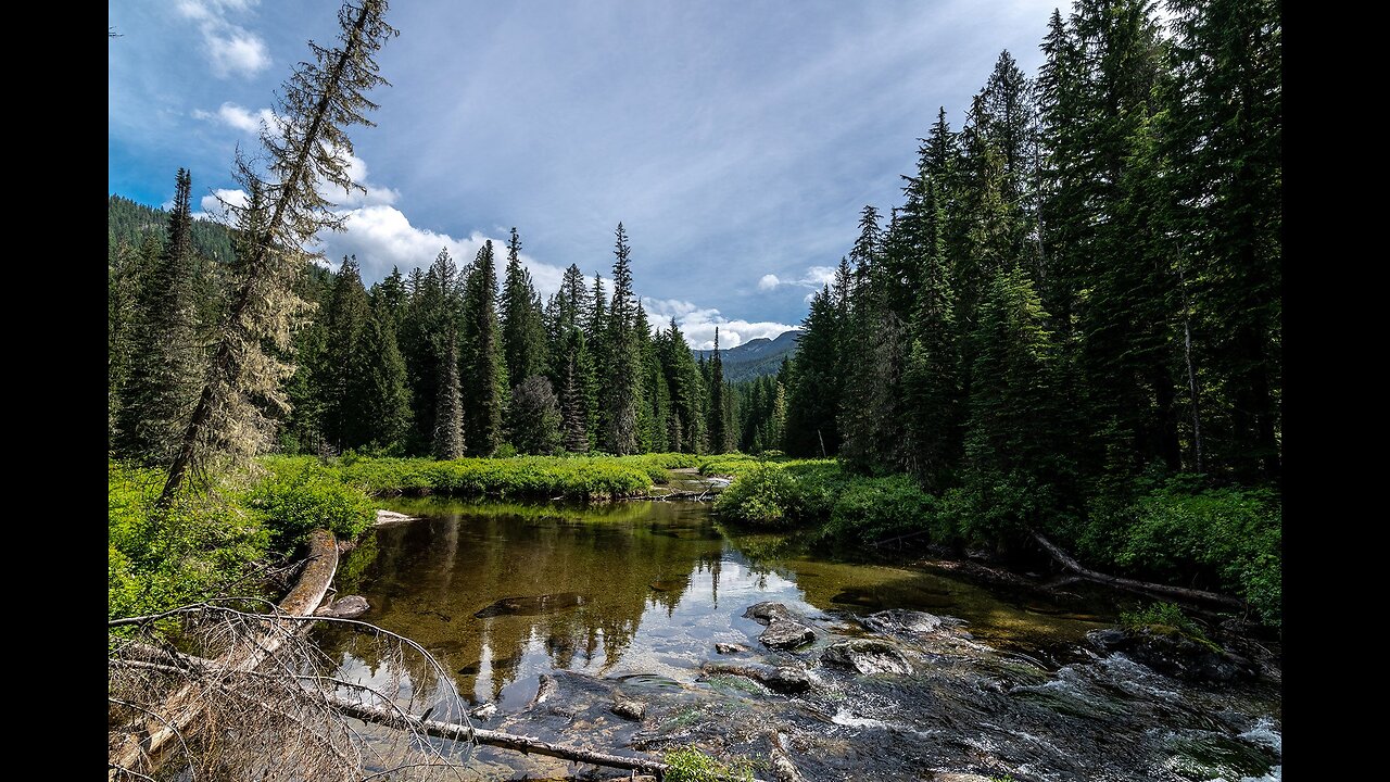 The Supreme Court Just Withdrew Protections from Half of the Country’s Streams and Wetlands