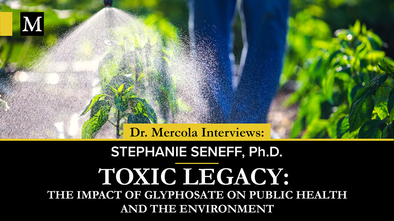 Toxic Legacy – Interview with Stephanie Seneff, Ph.D.