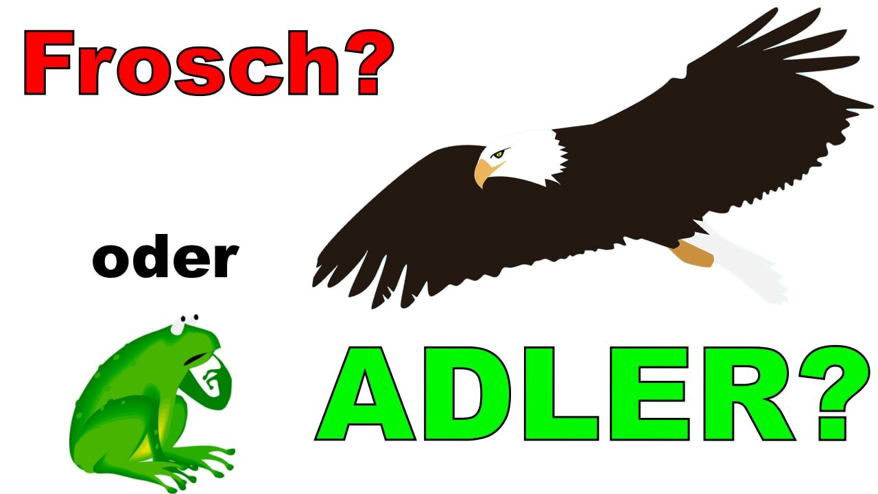 Quiz? Frosch oder Adler?