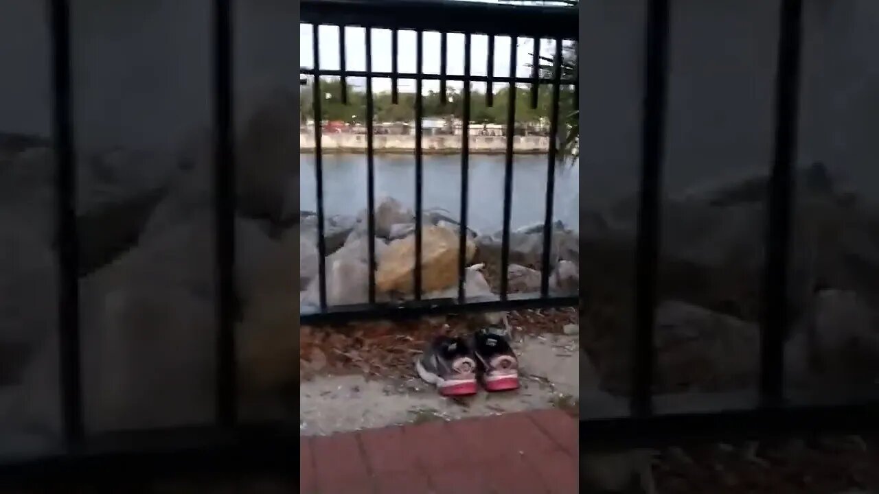 May 19, 2022 Black vehicle #gangstalker wanted to be filmed.