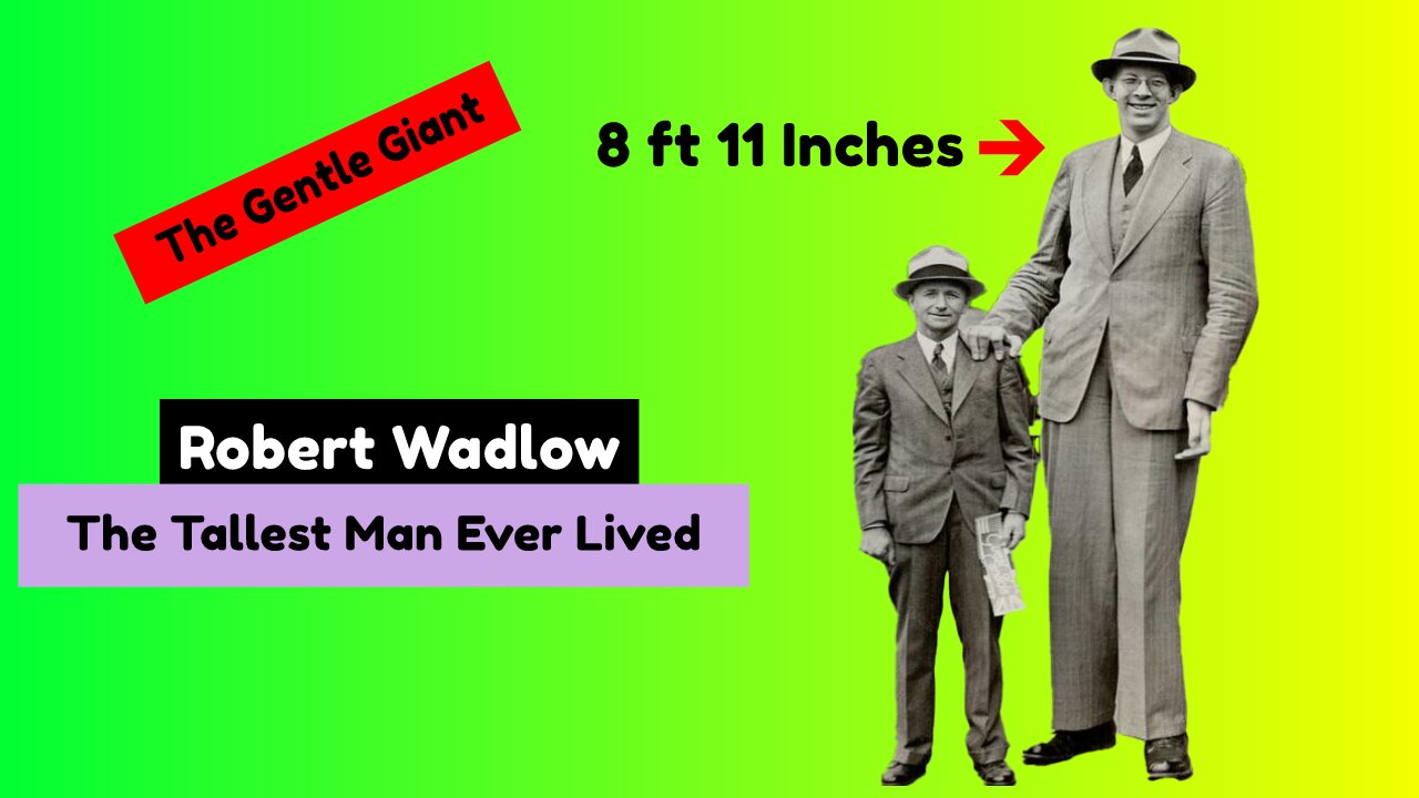 The Story of Robert Wadlow| The Tallest Man Ever