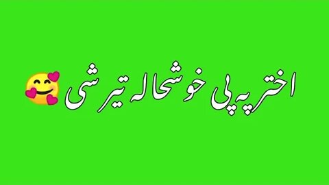 Green Screen pashto shayari WhatsApp status