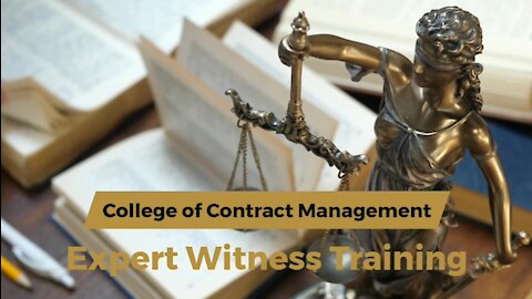 Expert Witness Training Program