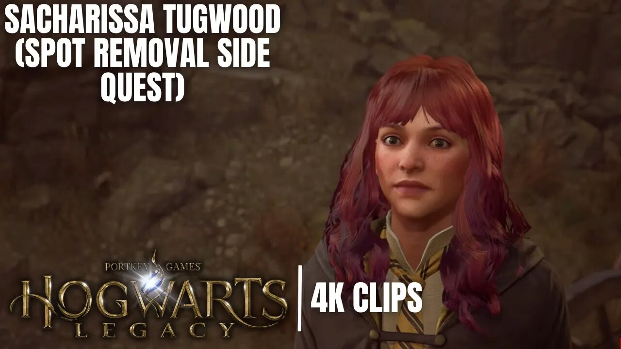 Spot Removal Side Quest | Hogwarts Legacy 4K Clips