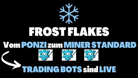 VOM PONZI SCHEME ZUM MINER STANDARD - FROST FLAKES | 2022 (Deutsch)