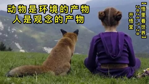 KWT2130动物是环境的产物，人是观念的产物。20210720-1【悟里看世界】