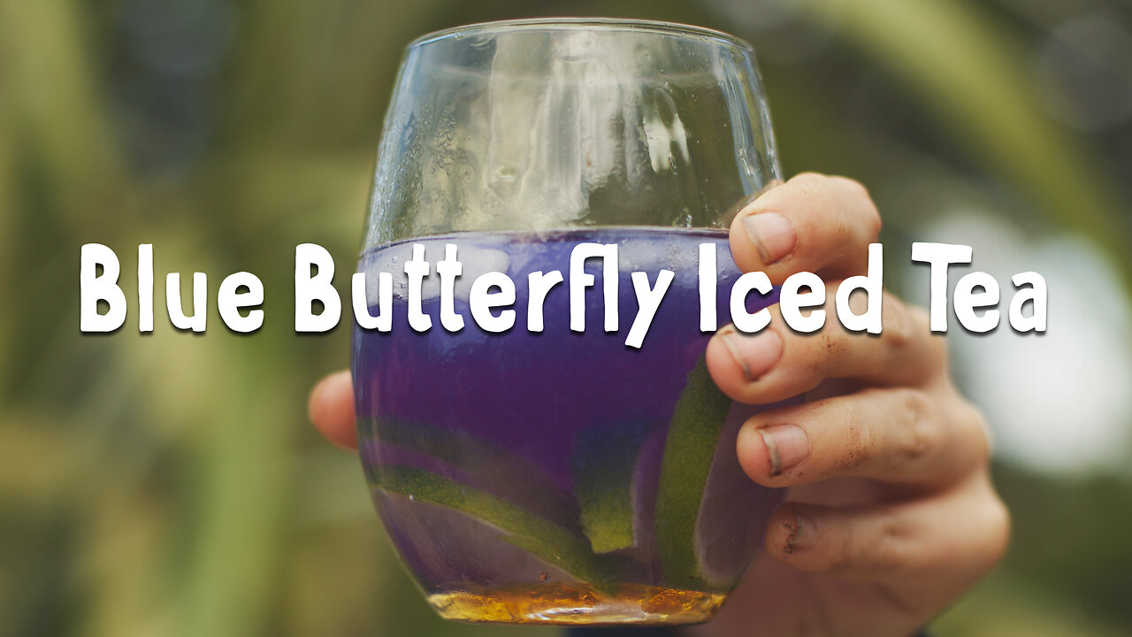 UA Chef ~ Blue Butterfly Iced Tea