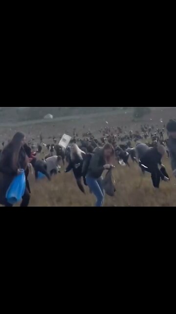 Influencer And TV Host Dropped A Million Dollars On Two Towns In The Czech Republic