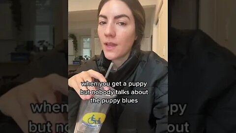 dogs dogvideos doglovers dogclips dog 15