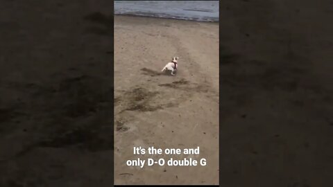 It's the one and only D-O double G #shorts