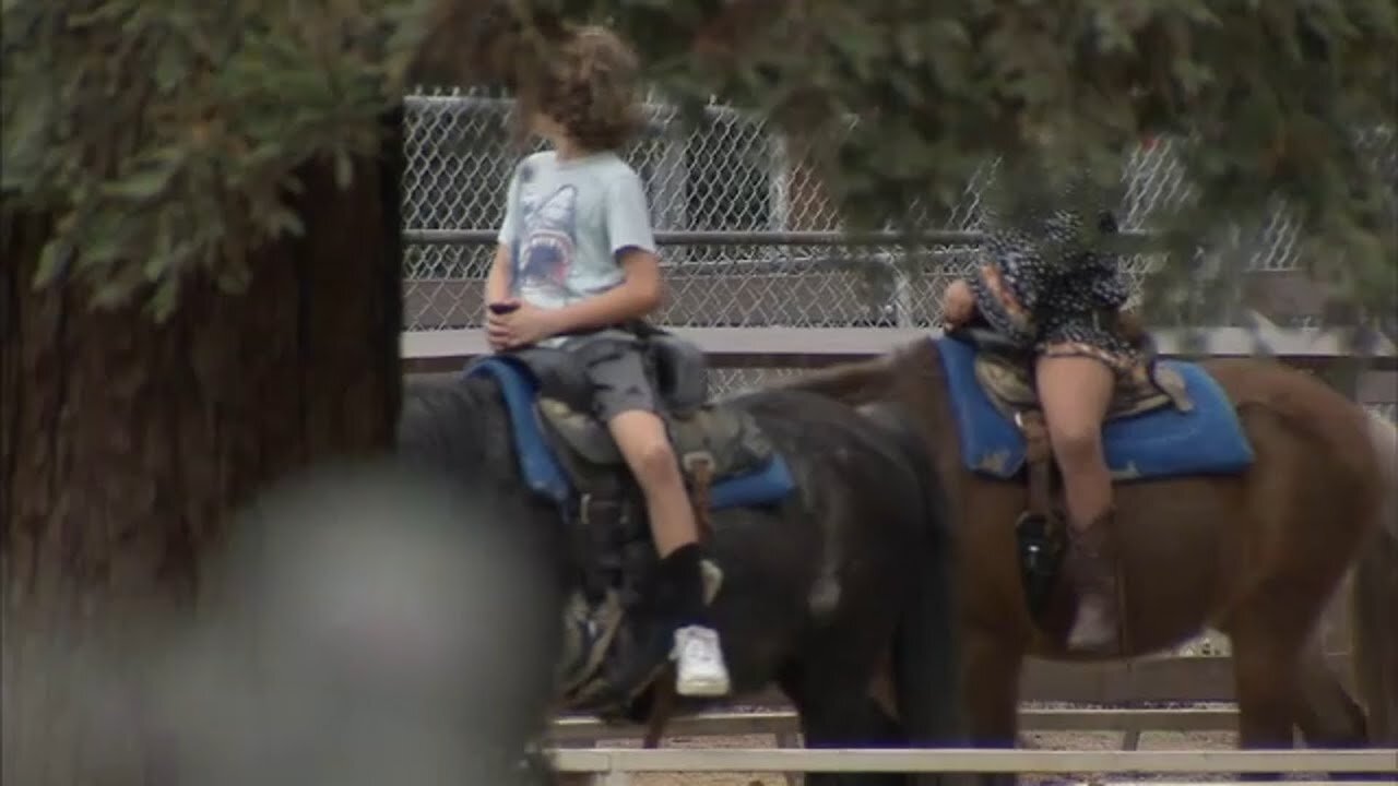 Griffith Park Pony Rides to shut down