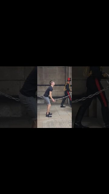 Disrespectful tourist told of by armed police #horseguardsparade