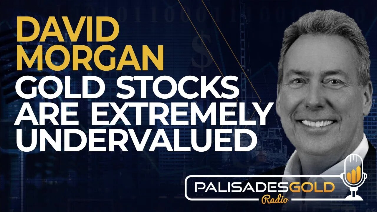 David Morgan: Gold Stocks are Extremely Undervalued