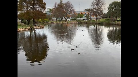 Sanctuary Lake Armadale Perth