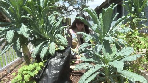 Girl Scout creates mental health garden for fellow students