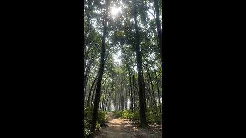 Calm and peace