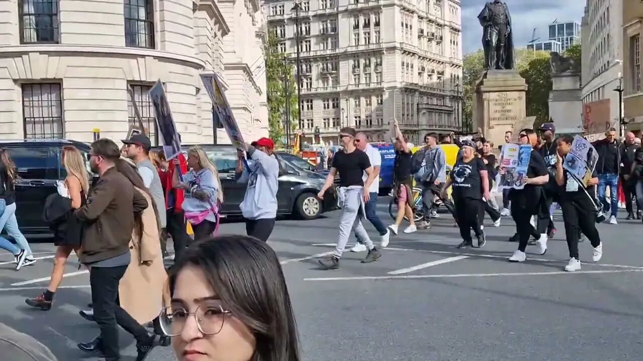 Xl bully's protest save our bullies #horseguardsparade