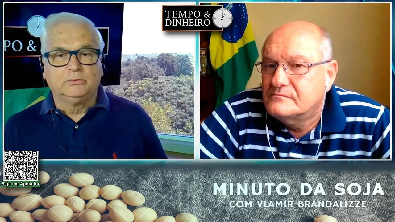 Milho continua em colheita e sem pressão de venda