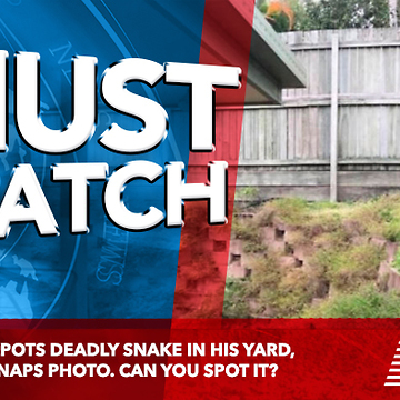 Homeowner Spots Deadly Snake In His Yard, Immediately Snaps Photo. Can You Spot It?