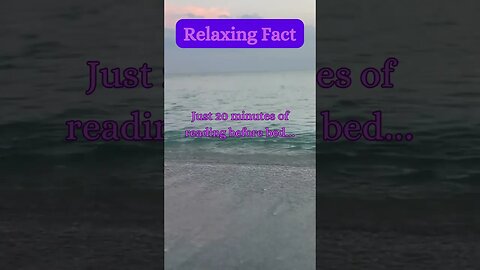 Beach Bliss & A Relaxing Secret! 🌊😌 | Must-Know Calming Fact #beachvibes #beach @AmbientNoiseCo.