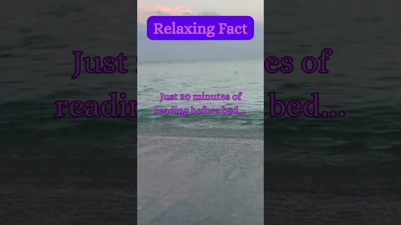 Beach Bliss & A Relaxing Secret! 🌊😌 | Must-Know Calming Fact #beachvibes #beach @AmbientNoiseCo.