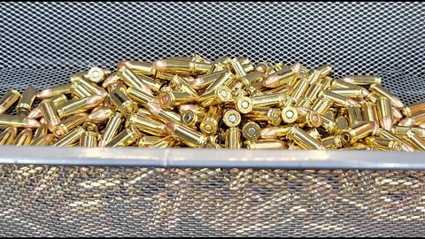 NO Ammo Shortage! 3 Stores! EASY!
