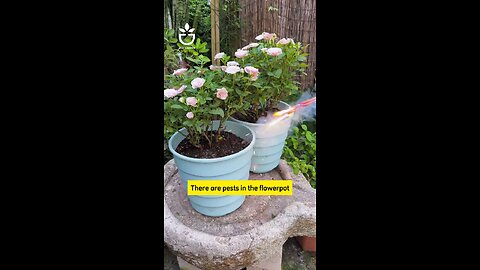 usefull tip for your garden