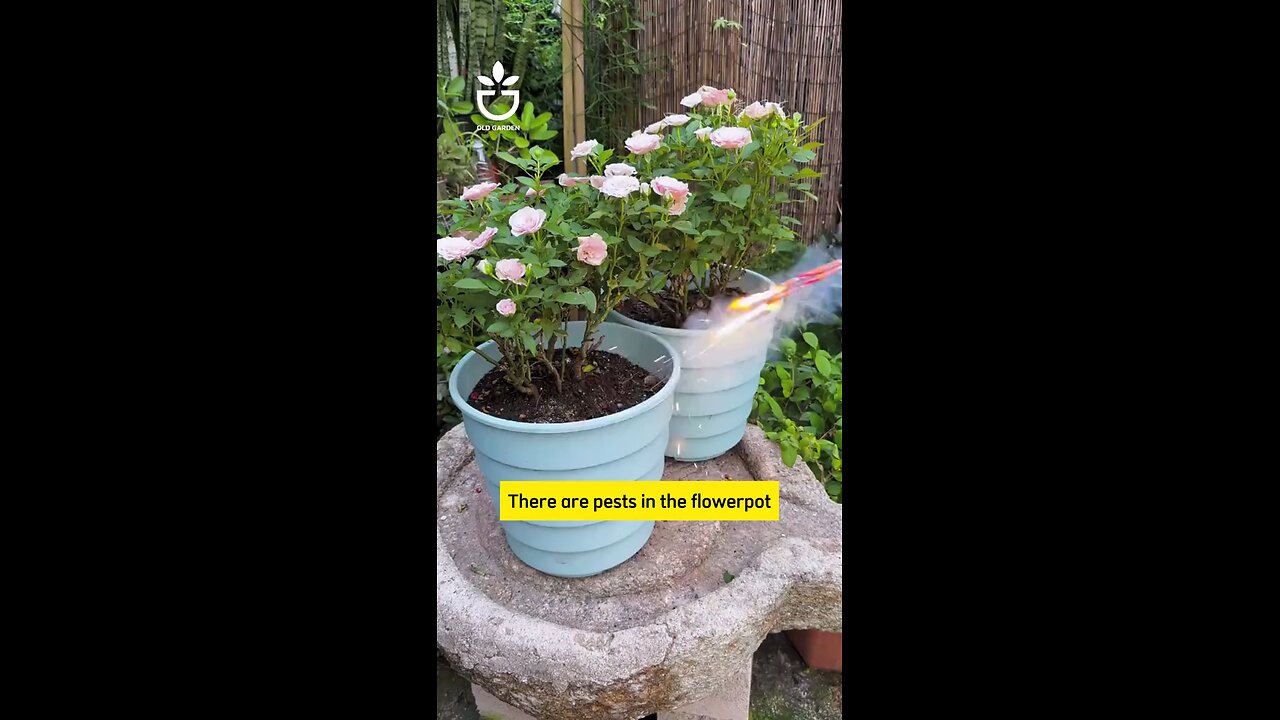 usefull tip for your garden