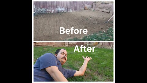 Winter Grass Update! DIY Lawn Guy