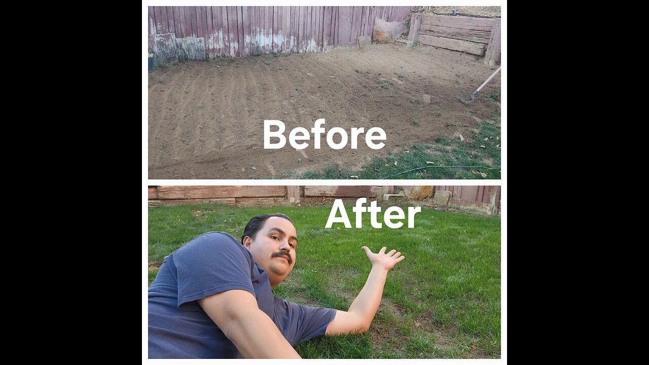 Winter Grass Update! DIY Lawn Guy