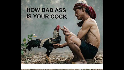 Cock Fighting in the Philippines