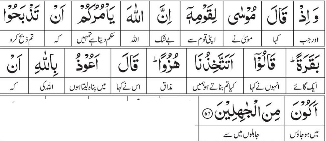 Knowledge of Quran |Surah Al-Baqarah |Ayat-67 |Part-2|