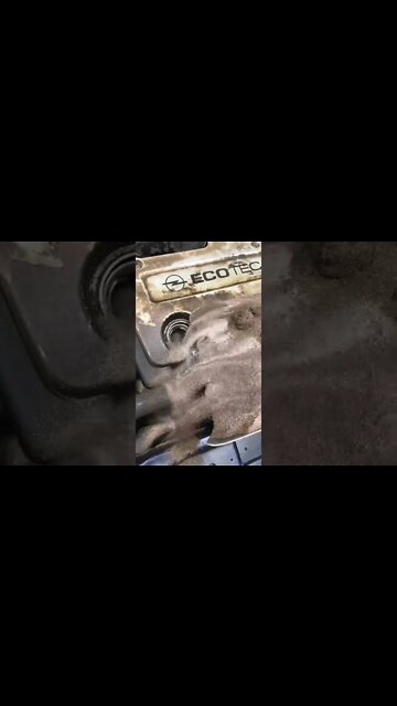 #shorts #2022 funny,prank,funjokes,dad jokes,funny memes,funny video,fun,laughing,funny animal,knock