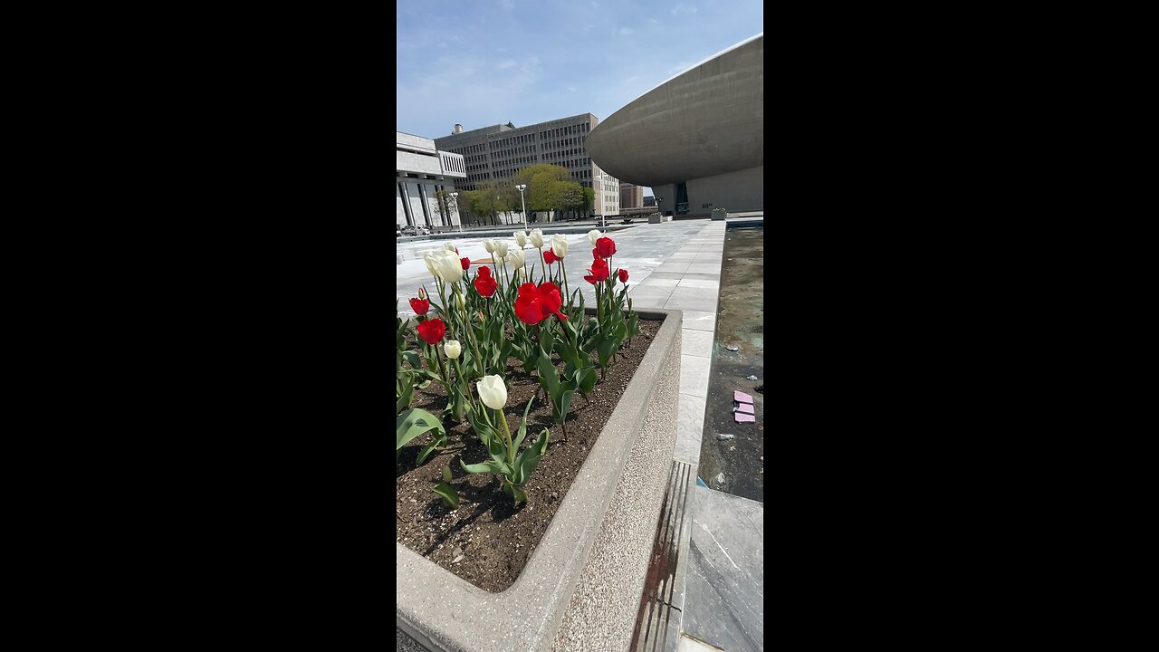 Empire State Plaza