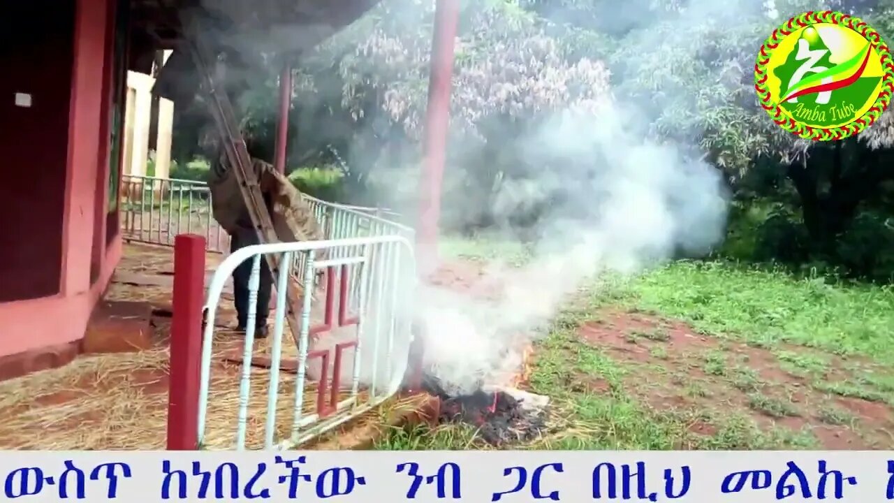 ቤተ ክርስቲያን ስናፈርስ ኮርኔሱ ውስጥ ከነበረችው ንብ ጋር የነበረ ትንቅንቅ፡፡ ደብረ ቀራንዮ መድኃኔዓለም