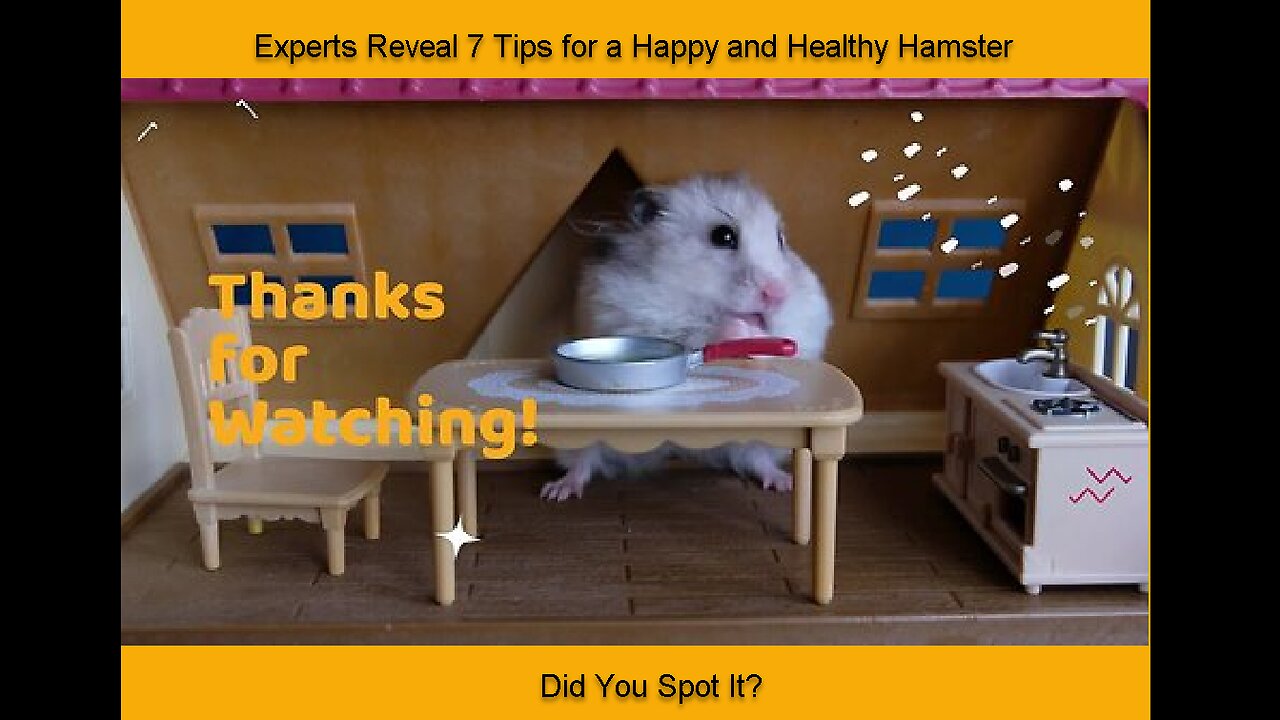 Experts Reveal 7 Tips for a Happy and Healthy Hamster