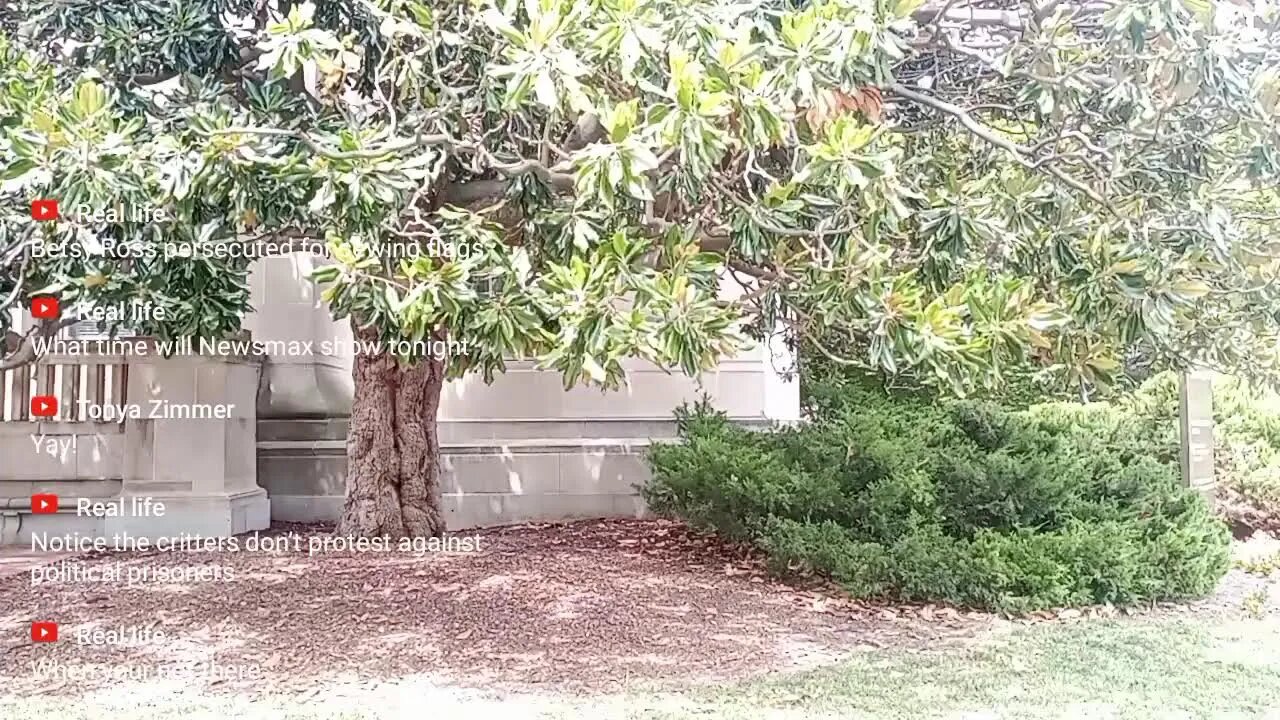 Live- Patriot Steve in DC!