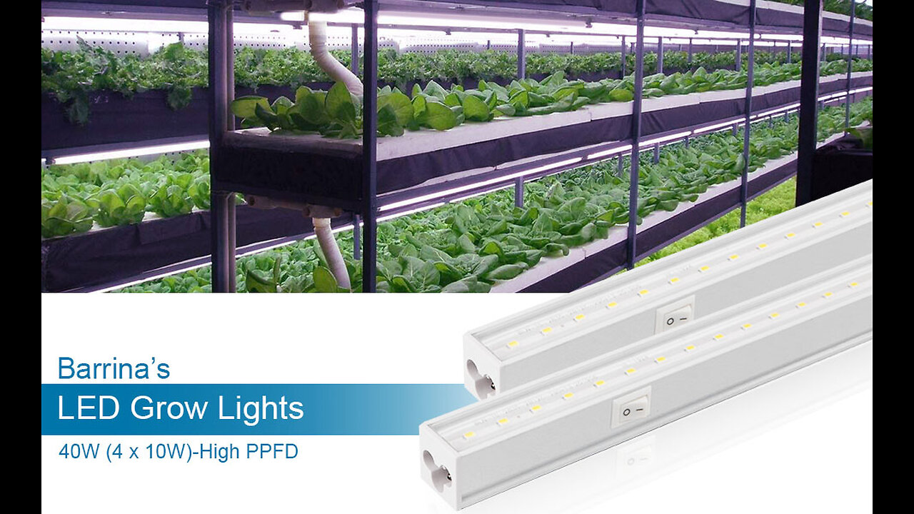 Barrina Grow Light, 96W(4 x 24W, 600W Equivalent), 2ft T8, Super Bright, Full Spectrum Sunlight...