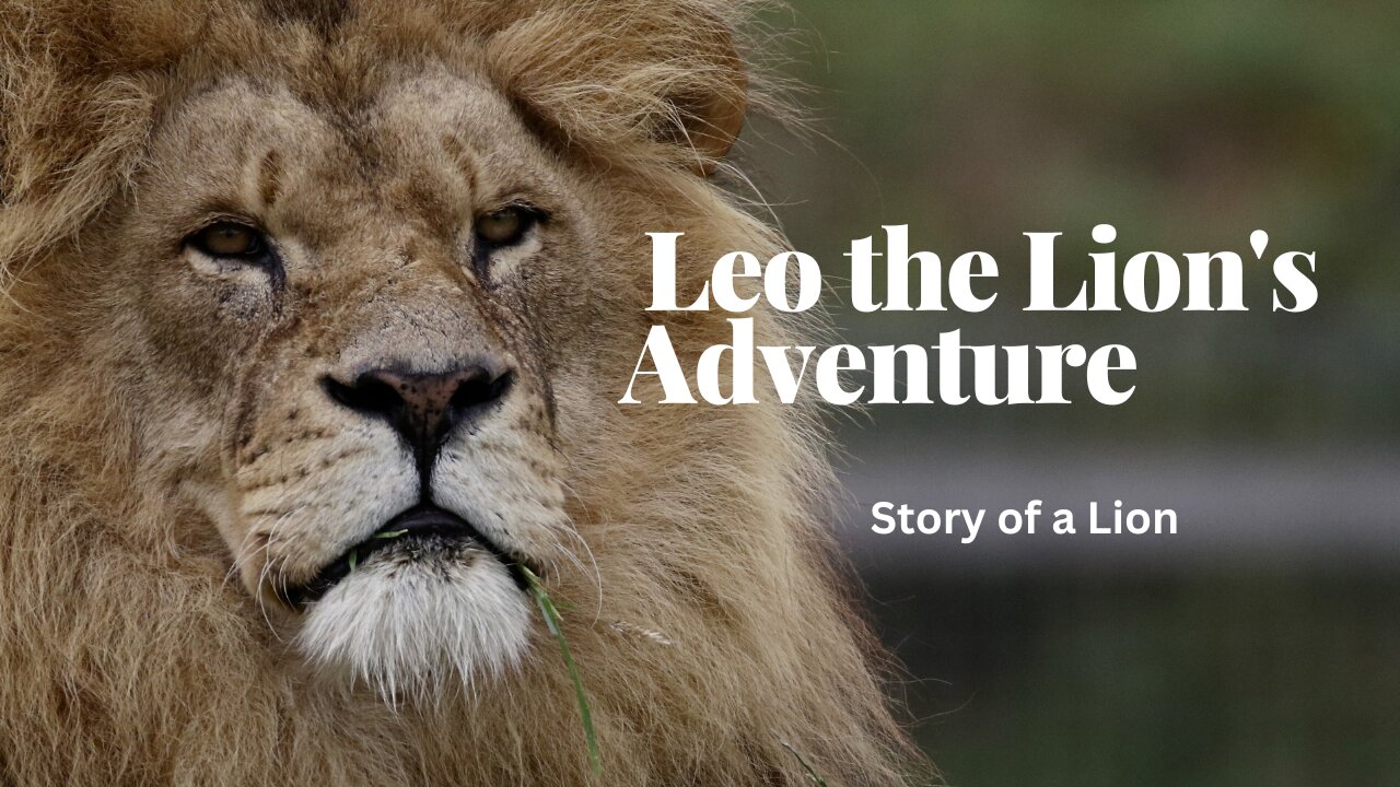 Leo the Lion's Adventure