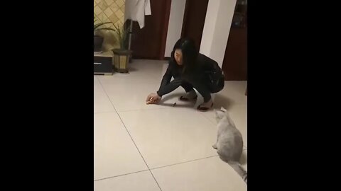 "Leave me - I can’t go on"