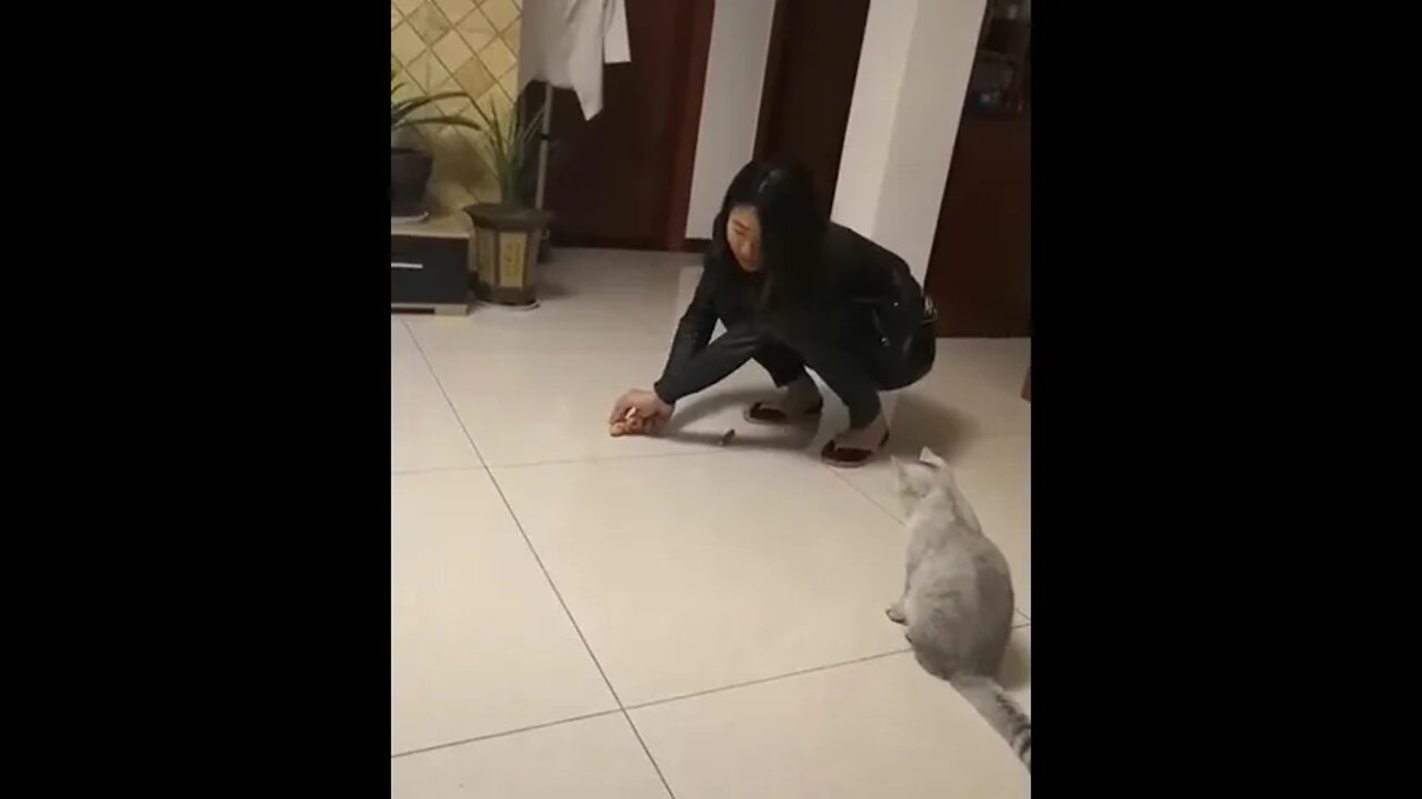 "Leave me - I can’t go on"