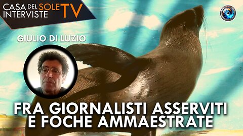 Giulio Di Luzio: fra giornalisti asserviti e foche ammaestrate