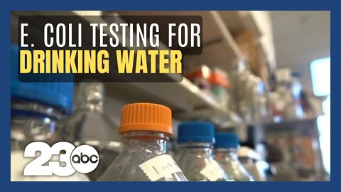 E. Coli testing for drinking water